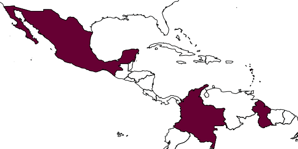 map of Anagrus virlai     Triapitsyn